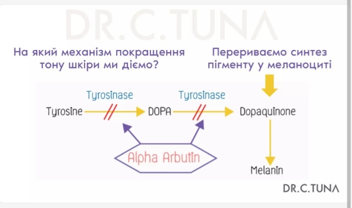 Відбілювальний тонік для обличчя Lumi 1000295 8 Відбілювальний тонік для обличчя Lumi 1000295 - Зображення 4